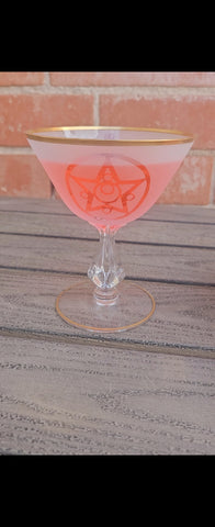 Sailor Moon Inspired Decanter/ Drinking Glass set