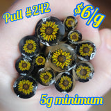 Pull #242 Sunflower